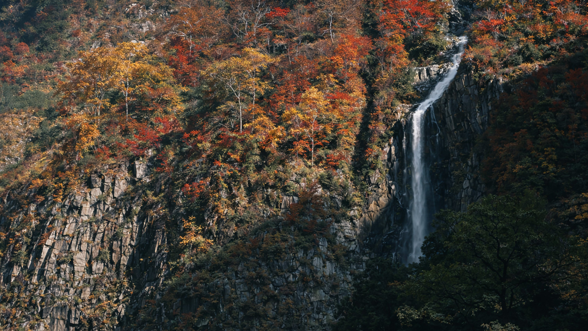 紅葉に包まれた山肌を流れ落ちる滝の風景