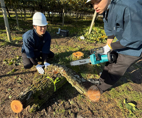 木と環境について学ぶ