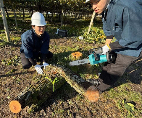 “捨てられる木”に新たな価値を
